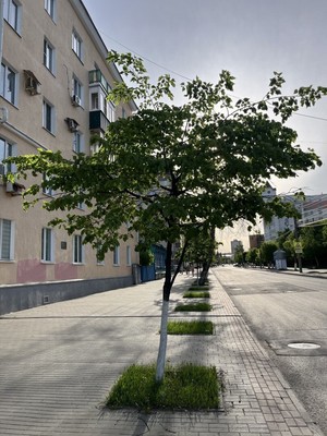 Продам трехкомнатную (3-комн.) квартиру, Урицкого ул, 44А, Пенза г