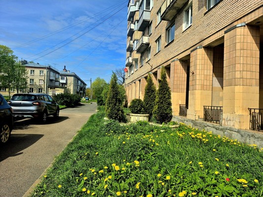 Продам однокомнатную (1-комн.) квартиру, Орловская ул, 2А, Стрельна п