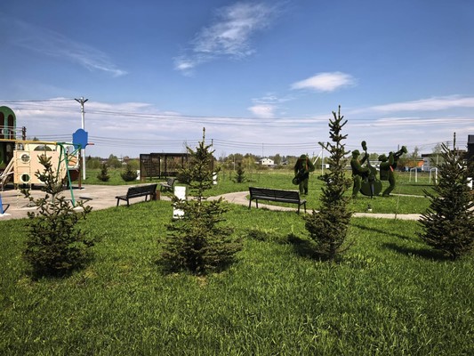 Продам участок 6 соток, Садоводство, Речицы с, 0 км от города