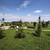 Продам участок 6 соток, Садоводство, Речицы с, 0 км от города