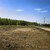 Продам участок 6 соток, Садоводство, Речицы с, 0 км от города
