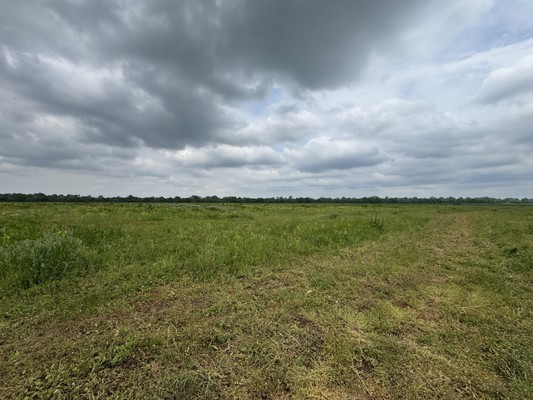 Продам землю для коммерческого использования 80 соток, Фермерское хоз., Чегем-Второй с