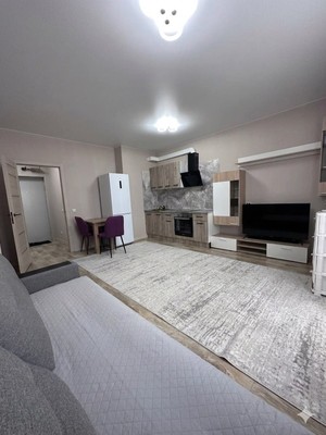 Продам однокомнатную (1-комн.) квартиру, Петра Подзолкова ул, 24, Красноярск г