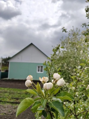 Продам дом, Тенистая ул, 108, Лесной п, 0 км от города