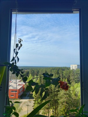 Продам однокомнатную (1-комн.) квартиру, Ленина ул, 30, Костомукша г
