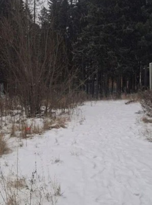 Продам участок 10 соток, ИЖС, СОК Коммунальник 15 км автодороги Х-М-Т снт, Ханты-Мансийск г, 0 км от города