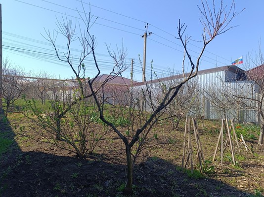 Продам дом, Благовещенск тер. СПК, 10, Трудовое с, 0 км от города