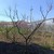 Продам дом, Благовещенск тер. СПК, 10, Трудовое с, 0 км от города