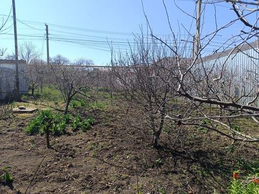Продам дом, Благовещенск тер. СПК, 10, Трудовое с, 0 км от города