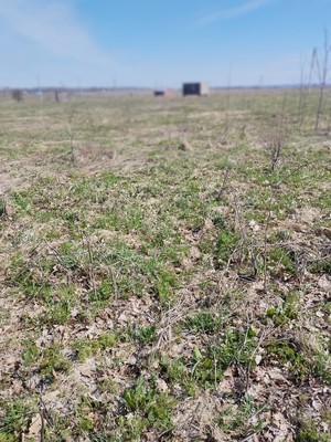 Продам участок 9 соток, ИЖС, Княжеская ул, Пахомово п, 0 км от города