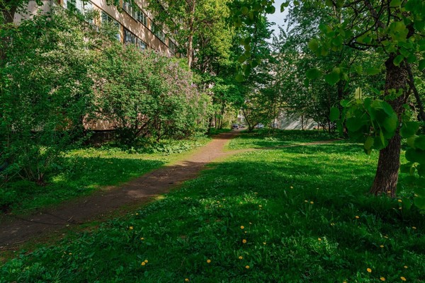 Продам однокомнатную (1-комн.) квартиру, Художников пр-кт, 18ак2, Санкт-Петербург г