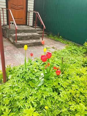 Продам дом, 12Б, Заворово с, 0 км от города