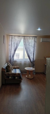 Продам однокомнатную (1-комн.) квартиру, им. Заводовского ул, 14, Российский п