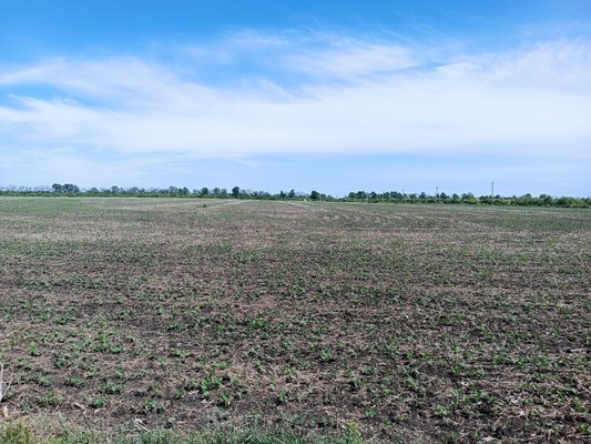 Продам участок 3,7 соток, Фермерское хоз., Лесопитомник ул, Ендовище с, 0 км от города