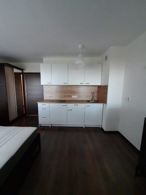 Продам однокомнатную (1-комн.) квартиру, Толубеевский проезд, 18к1, Парголово п