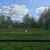 Продам участок 5 соток, ИЖС, Молосковицы д, 0 км от города