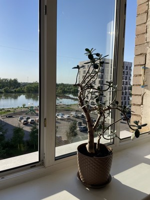 Продам двухкомнатную (2-комн.) квартиру, Вересова ул, 5, Великий Новгород г