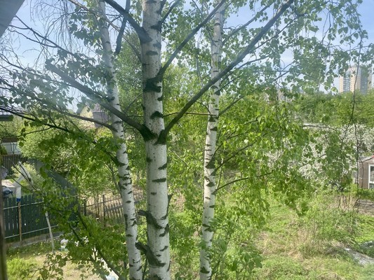 Продам коттедж, 1-я линия (Красный Октябрь тер. СНТ) ул, 40, Санкт-Петербург г, 0 км от города