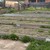 Продам дом, Лыжная ул, 21, Комсомольск-на-Амуре г, 0 км от города