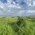 Продам участок 8 соток, ИЖС, Кабардинская ул, 3, Чегем г, 0 км от города