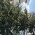 Продам двухкомнатную (2-комн.) квартиру, Авроры ул, 48, Восход пгт