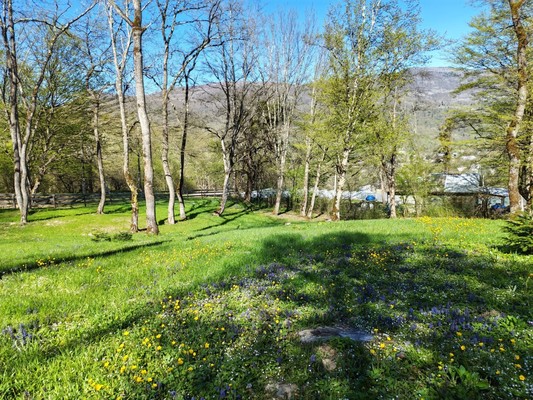 Продам участок 34 соток, ИЖС, Комсомольская ул, Хамышки с, 0 км от города
