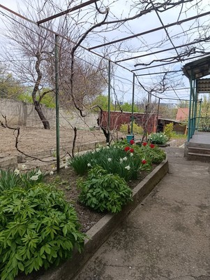 Продам дом, Дацуна ул, Симферополь г, 0 км от города