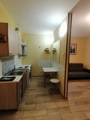 Продам однокомнатную (1-комн.) квартиру, Строителей пр-кт, 18, Кудрово г