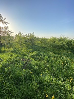 Продам участок 31 соток, ИЖС, Аксаркино ул, 9, Аксаркино д, 0 км от города