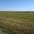 Продам участок 14,8 соток, ИЖС, Колузаево х, 0 км от города