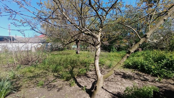 Продам дом, Школьная ул, 7, Апшеронск г, 0 км от города