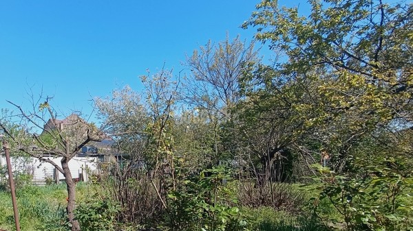 Продам дом, Школьная ул, 7, Апшеронск г, 0 км от города
