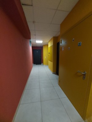 Продам однокомнатную (1-комн.) квартиру, Ветеранов пр-кт, 175, Санкт-Петербург г