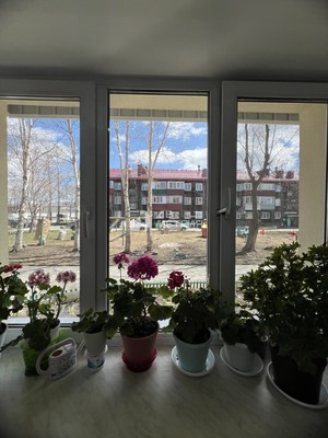 Продам двухкомнатную (2-комн.) квартиру, 2-я Красносельская ул, 8, Южно-Сахалинск г