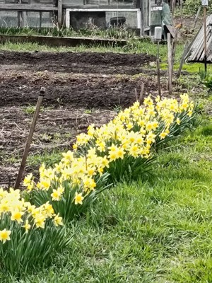 Продам участок 10 соток, Фермерское хоз., Элитовский с/с, 0 км от города