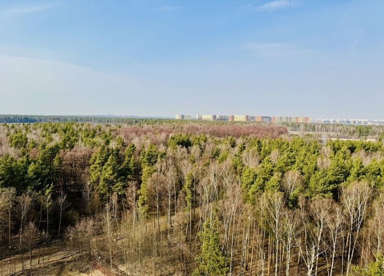 Продам трехкомнатную (3-комн.) квартиру, 60 лет Победы ул, 10а, Октябрьский рп