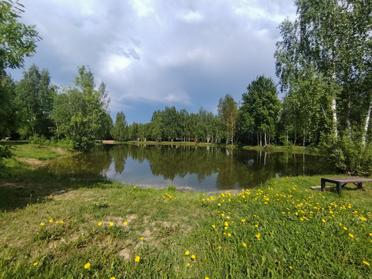 Продам дом, СНТ Полянка Наро-Фоминский леспромхоз тер, 104, Александровка п, 0 км от города
