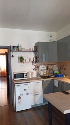 Продам однокомнатную (1-комн.) квартиру, Кузнецовская ул, 58к1, Санкт-Петербург г