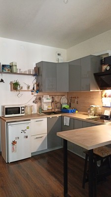 Продам однокомнатную (1-комн.) квартиру, Кузнецовская ул, 58к1, Санкт-Петербург г
