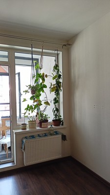 Продам однокомнатную (1-комн.) квартиру, Кузнецовская ул, 58к1, Санкт-Петербург г