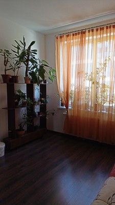 Продам однокомнатную (1-комн.) квартиру, Кузнецовская ул, 58к1, Санкт-Петербург г
