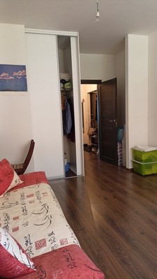 Продам однокомнатную (1-комн.) квартиру, Кузнецовская ул, 58к1, Санкт-Петербург г