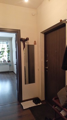 Продам однокомнатную (1-комн.) квартиру, Кузнецовская ул, 58к1, Санкт-Петербург г