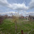 Продам участок 6,2 соток, Фермерское хоз., Роз (Дружба отделение 3 снт) проезд, Армавир г, 0 км от города