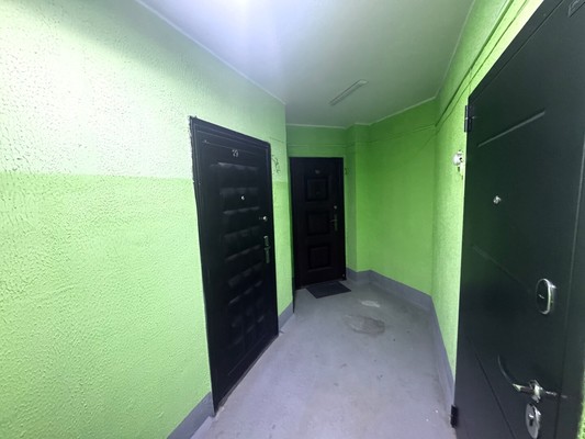 Продам трехкомнатную (3-комн.) квартиру, Шатурская (Байкал тер. СНТ) ул, 14к1, Шатурторф п