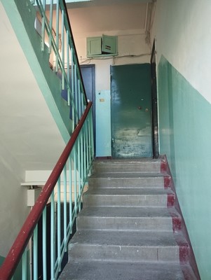 Продам однокомнатную (1-комн.) квартиру, Евгения Никонова ул, 16, Нижний Новгород г