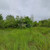 Продам участок 6 соток, Фермерское хоз., Мебельщик тер. СНТ, Саратовская ст-ца, 0 км от города