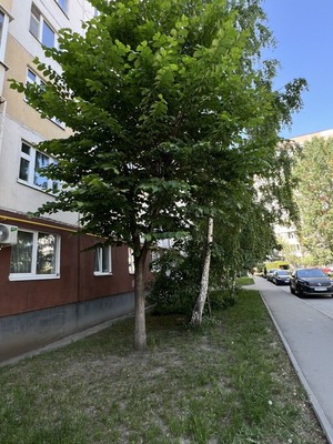 Продам однокомнатную (1-комн.) квартиру, Четаева ул, 60, Казань г