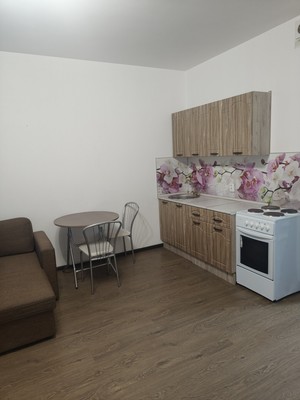 Продам однокомнатную (1-комн.) квартиру, Английская ул, 3к2, Кудрово г