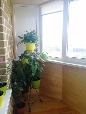 Продам двухкомнатную (2-комн.) квартиру, ГСК-2 Юбилейный тер, 23, Подольской машинно-испытательной станции п